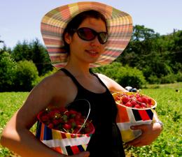 Strawberry Season 